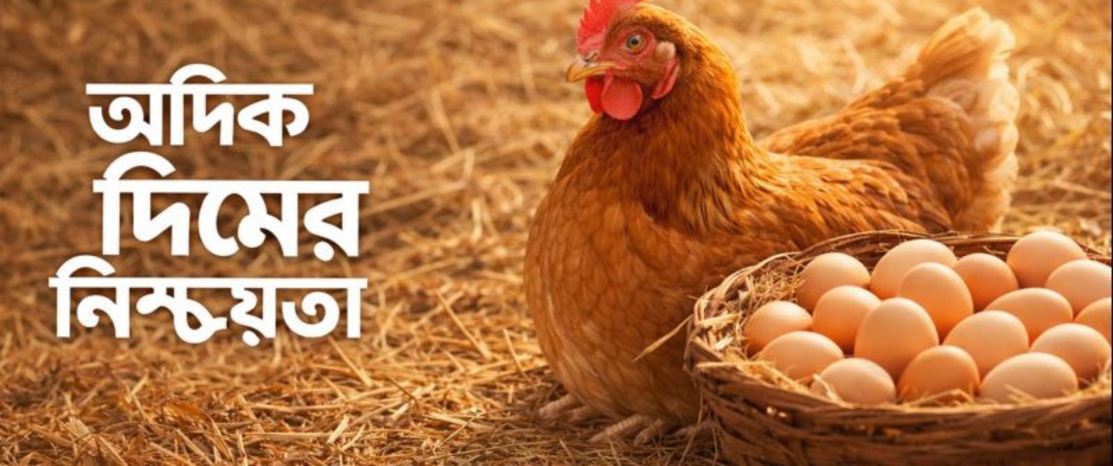 update_application_status.php